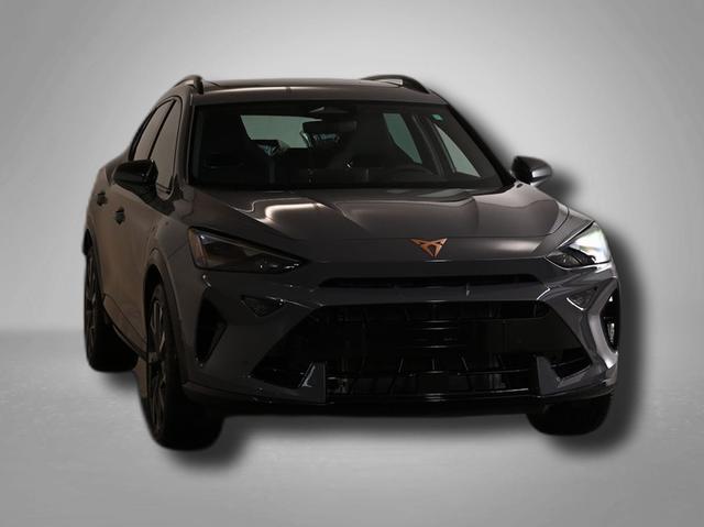 Cupra Formentor VZ 2.0 TSI 7-Gang-DSG 4Drive 
