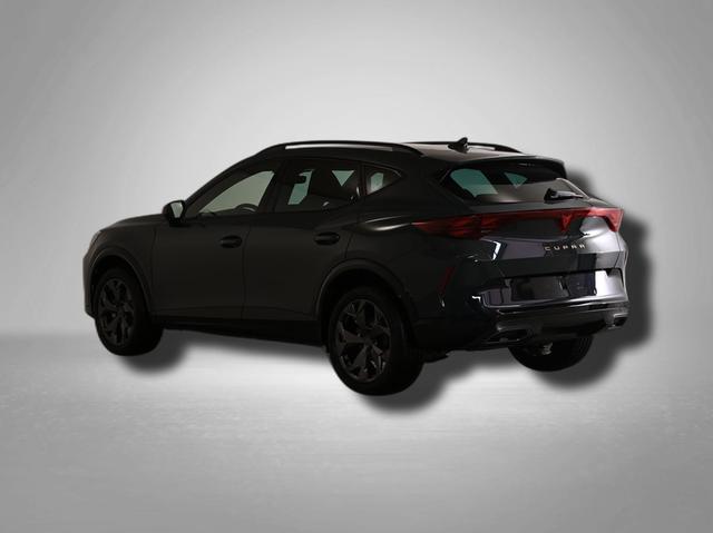 Cupra Formentor 2.0 TSI 7-Gang-DSG 4Drive 