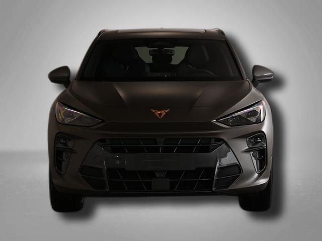 Cupra Terramar VZ 2.0 TSI 7-Gang-DSG 4Drive 
