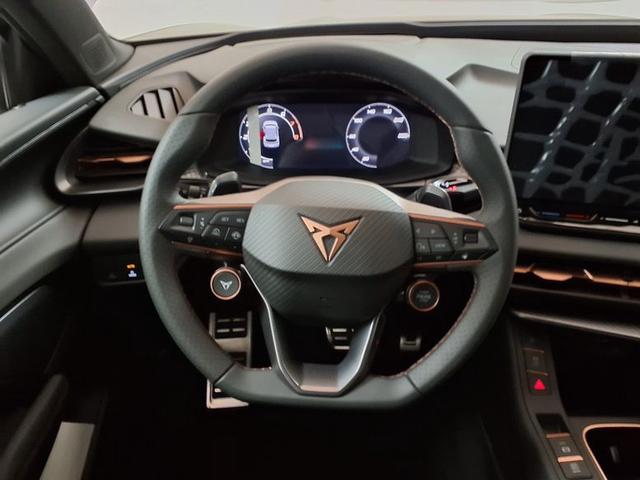 Cupra Terramar VZ 2.0 TSI 7-Gang-DSG 4Drive 