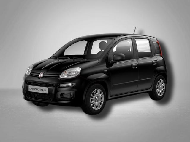 Fiat Panda - Pandina Icon 1.0 Hybrid 6-Gang