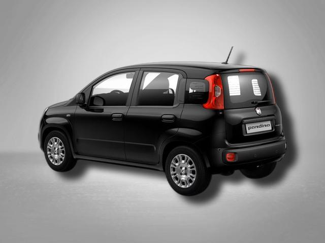 Fiat Panda Pandina Icon 1.0 Hybrid 6-Gang 