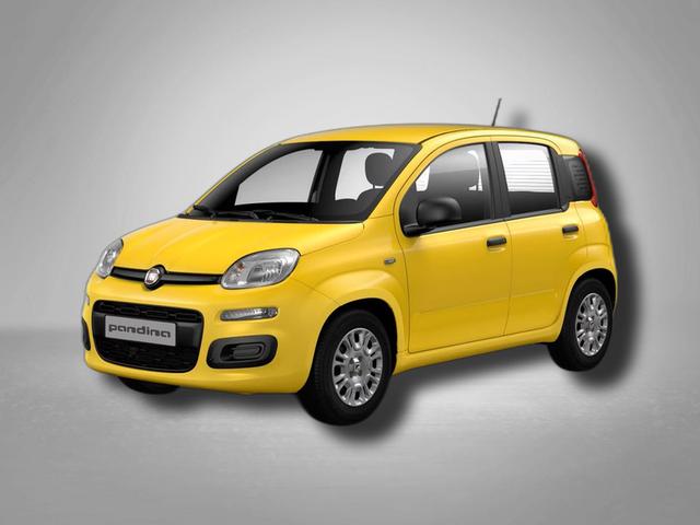 Fiat Panda - Pandina Icon 1.0 Hybrid 6-Gang