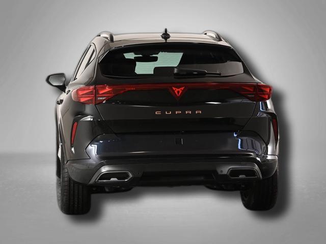 Cupra Formentor 2.0 TSI 7-Gang-DSG 4Drive 