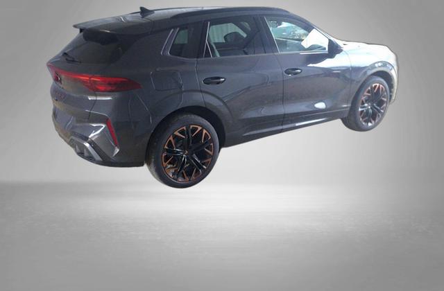 Cupra Terramar VZ 2.0 TSI 7-Gang-DSG 4Drive 