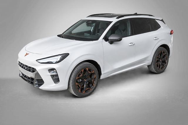 Cupra Terramar - VZ 2.0 TSI 195 kW (265 PS) 7-Gang DSG 4Drive