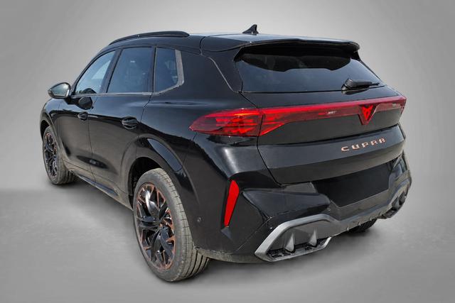 Cupra Terramar VZ 2.0 TSI 7-Gang-DSG 4Drive 