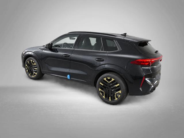 Cupra Terramar VZ Tribe Edition 2.0 TSI 7-Gang-DSG 4Drive 