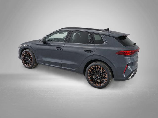 Cupra Terramar VZ 2.0 TSI 7-Gang-DSG 4Drive 