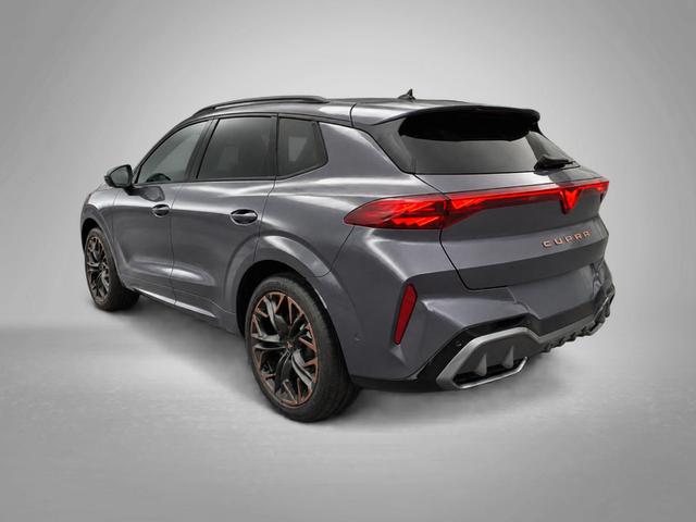 Cupra Terramar VZ 2.0 TSI 7-Gang-DSG 4Drive 