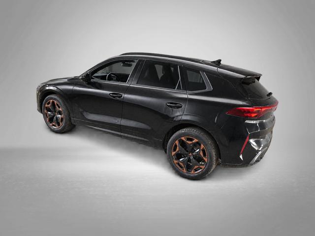 Cupra Terramar VZ 2.0 TSI 7-Gang-DSG 4Drive 