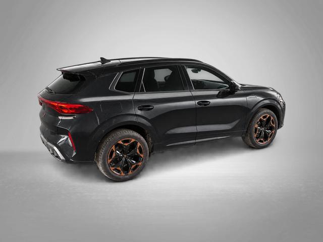 Cupra Terramar VZ 2.0 TSI 7-Gang-DSG 4Drive 