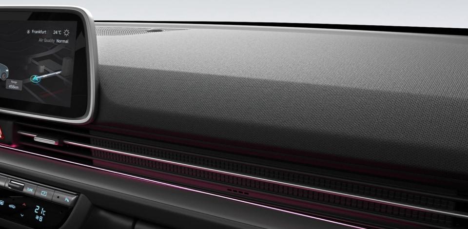 Ökologisch gegerbtes Leder IONIQ 6