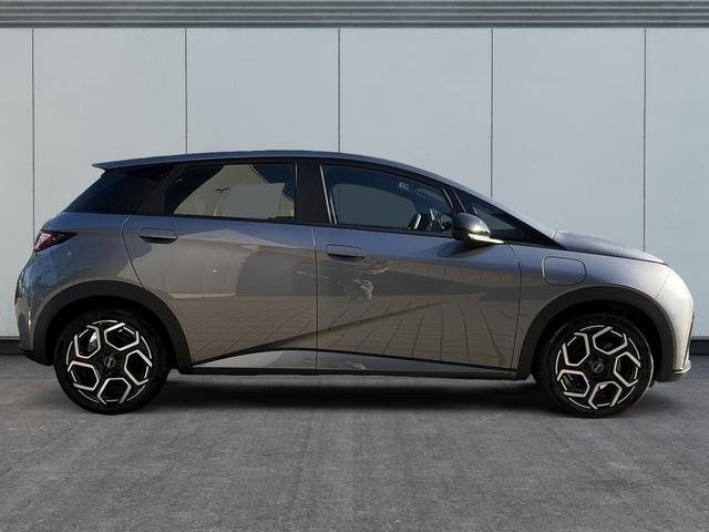 BYD Dolphin Surf Comfort ab 359€ mtl. 