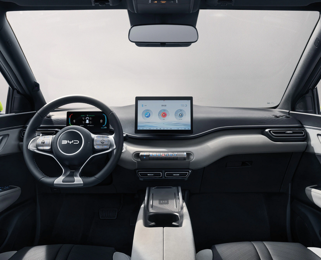 BYD Dolphin Surf Comfort Black Weeks befristet bis 30.11.2025 