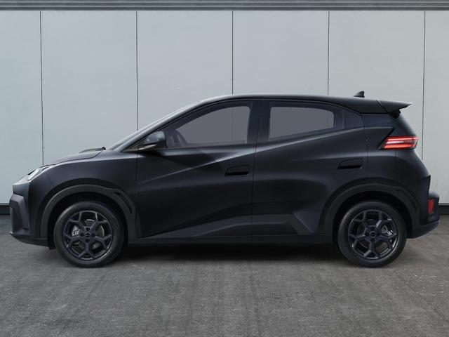 BYD Dolphin Surf Comfort Black Weeks befristet bis 30.11.2025 