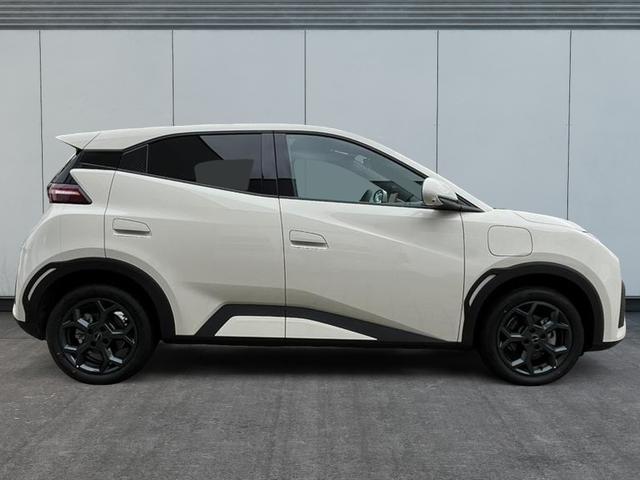 BYD Dolphin Surf Comfort Bis zu 6000&euro; E-Auto F&ouml;rderung zus&auml;tzlich! 