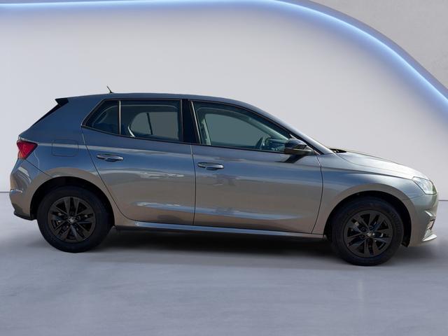 Skoda / Fabia / Grau / / / Fabia 1.0 TSI Selection OPF