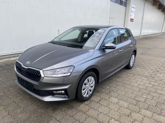 Skoda Fabia 1.0 TSI AT Selection, SHZ,Klima,Appcon. 