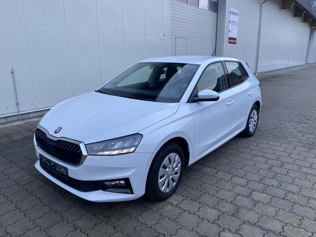 Skoda Fabia 1.0 TSI AT Selection, SHZ,Klima,Appcon. 