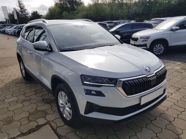 Skoda / Karoq / Weiß / / / Karoq Selection 2,0TDI 85KW PDC, Kamera