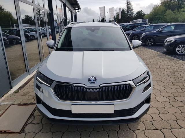 Skoda / Karoq / Weiß / / / Karoq Selection 2,0TDI 85KW PDC, Kamera