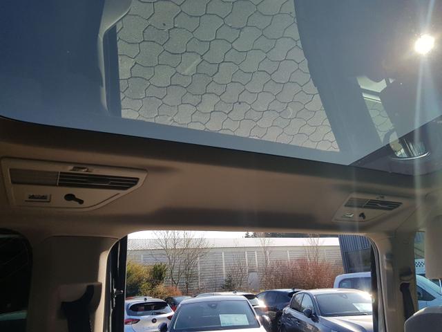 Volkswagen / T7 Multivan / / / / 
