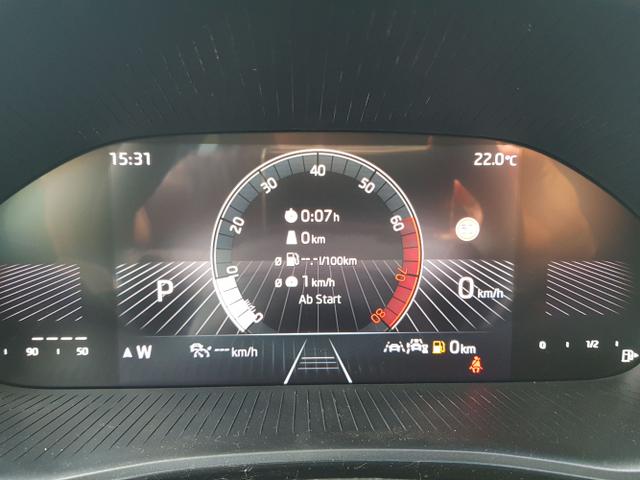 Skoda / Fabia / Grau / / / Fabia Selection 1,0TSI DSG 85KW/116PS ACC, SHZ, 16, Climatonic