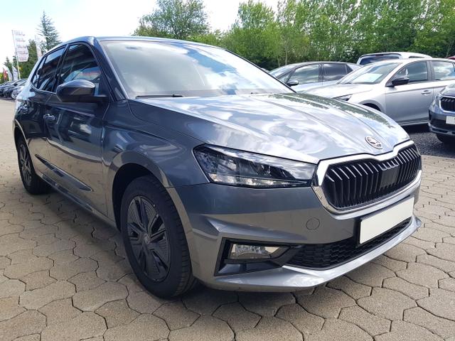 Skoda / Fabia / Grau / / / Fabia Selection 1,0TSI DSG 85KW/116PS ACC, SHZ, 16, Climatonic