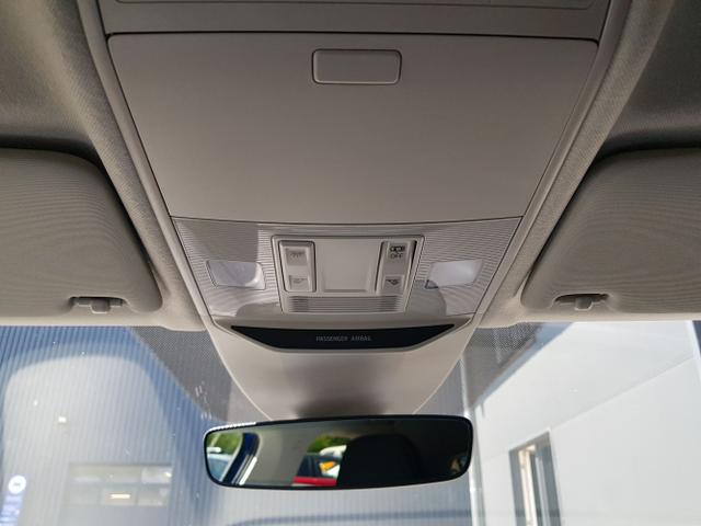 Skoda / Fabia / Blau / / / Fabia Selection 1,0TSI DSG 85KW/116PS ACC, SHZ, 16, Climatonic