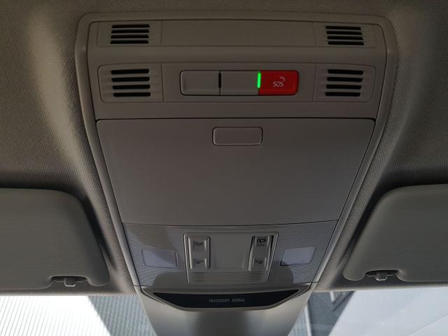 Skoda / Kamiq / / / / 