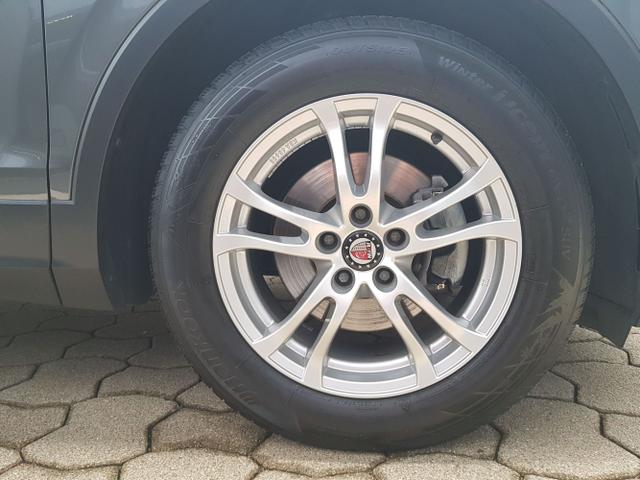 Volkswagen / Tiguan / / / / 