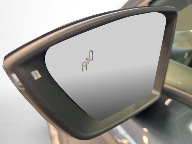 Seat Arona Style Edition 1,0TSI DSG 85KW/116PS Full LED, Totwinkel, ACC, Fernlicht, Dinamica, Sitzheizung 