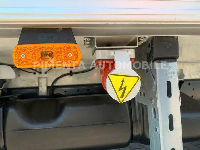 Iveco Daily 50C18A8 TK AUT TRENNWAND CARRIER LBW LED 