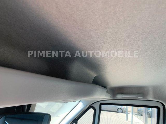 Iveco Daily 50C18A8 TK AUT TRENNWAND CARRIER LBW LED 