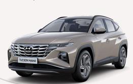 Hyundai TUCSON - 1.6 T-GDI HEV 6AT 2WD Premium MY23 / PDC V Hi.m.360 Kamera Sitzheiz. Belüft./ Leder ACC elektr.Heckklappe