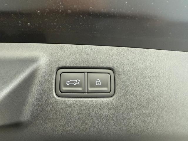 Hyundai SANTA FE 1.6 T-GDI PHEV 4WD Calligraphy / 6-Sitze Voll 