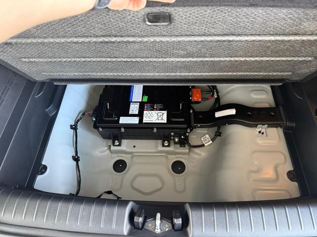 Hyundai BAYON 7DCT 1.0 T-GDI Premium mHEV / Bose Navi Keyless Klimaautom. LED Sitz & Lenkr.Heiz./ PDC V.&H./Kamera 