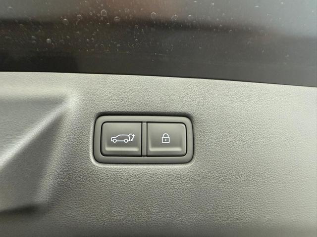 Hyundai SANTA FE Calligraphy 1.6 T-GDI PHEV 4WD 6-Sitzer / Head-Up ACC 360&deg; Kam. 4x Shz Sitzbel&uuml;ftung Soundsystem Alu 20" 