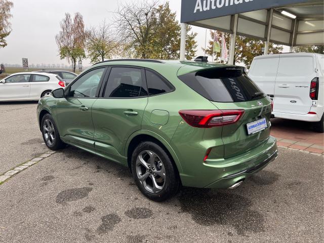 Ford / Kuga / Gr&uuml;n / / / Kuga 1.5 EcoBoost ST-Line