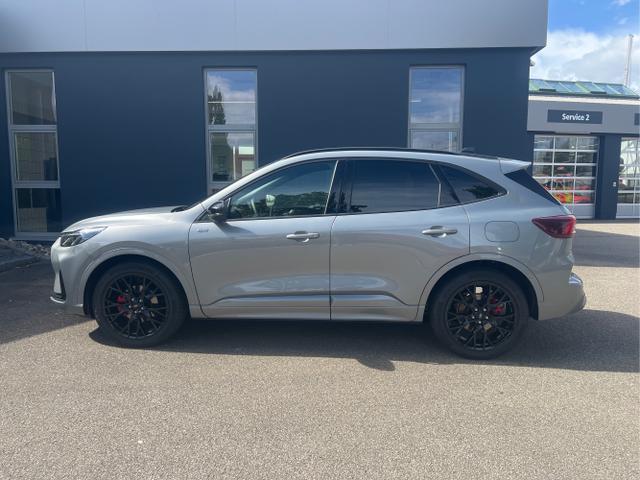 Ford / Kuga / Silber / / / Kuga ST-Line X 2.5 FHEV FWD 180 PS 