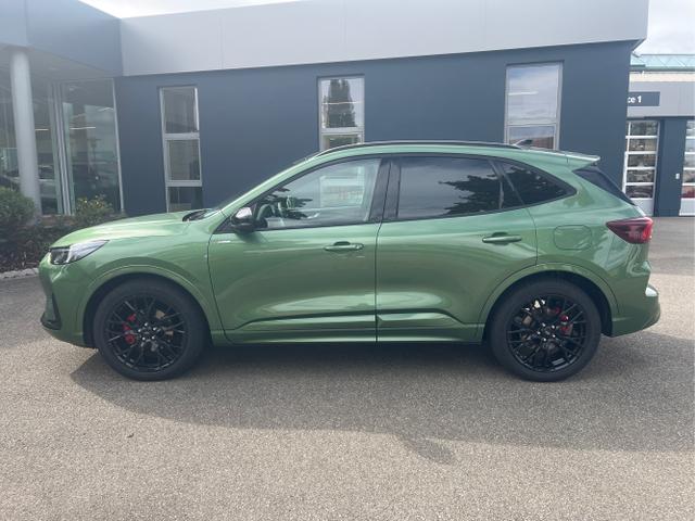 Ford / Kuga / Grün / / / Kuga ST-Line X 2.5 FHEV FWD 180 PS 