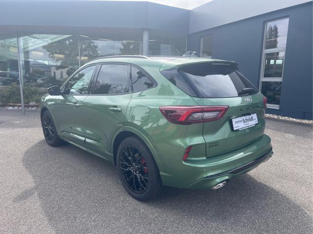 Ford / Kuga / Grün / / / Kuga ST-Line X 2.5 FHEV FWD 180 PS 