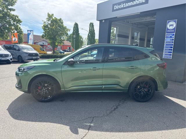 Ford / Kuga / Gr&uuml;n / / / Kuga ST-Line X 2.5 FHEV AWD 