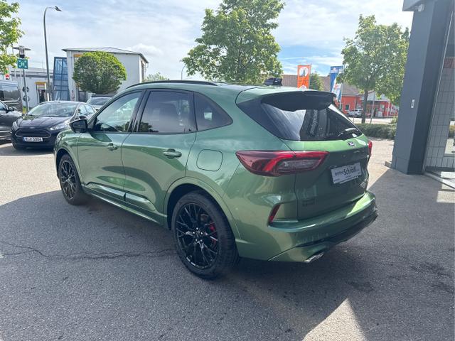 Ford / Kuga / Gr&uuml;n / / / Kuga ST-Line X 2.5 FHEV AWD 