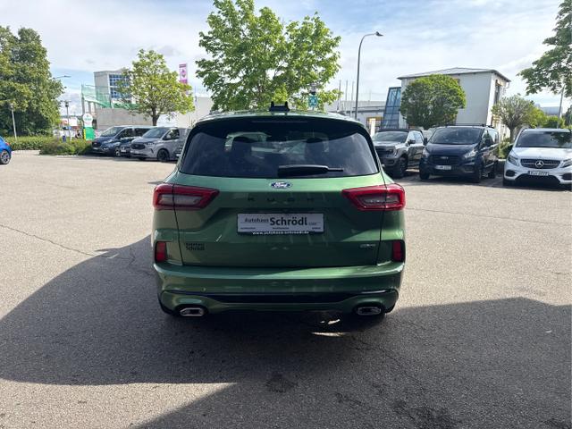 Ford / Kuga / Gr&uuml;n / / / Kuga ST-Line X 2.5 FHEV AWD 