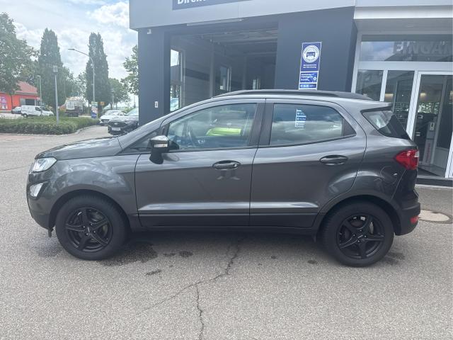Ford / EcoSport / Grau / / / EcoSport Trend 1.0 EcoBoost 
