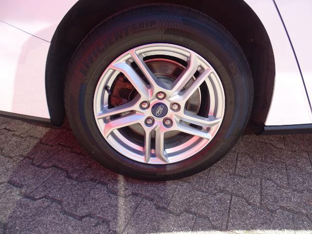 Focus Turnier 2.0 EcoBlue Cool&Connect 