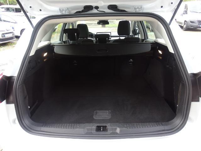 Focus Turnier 1.5 EcoBlue Titanium 