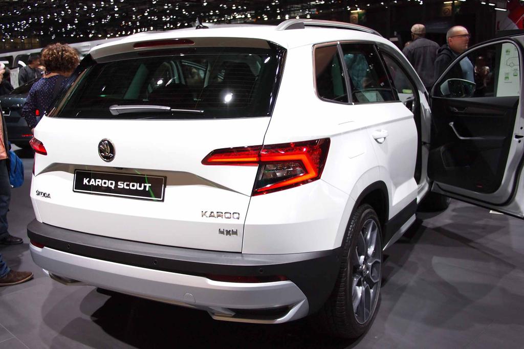 Skoda Karoq Adblue - Adblue Tankdeckel Fur Seat Arona ...